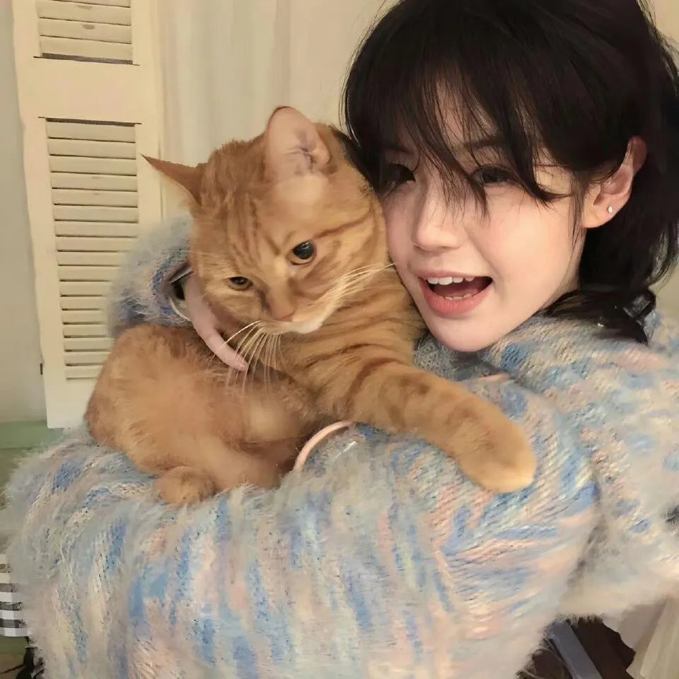 金刚猎鹰2